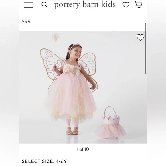Pottery Barn Faerie Costume size 3T - Picture 3 of 9